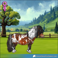 Horse Color:White Spotted Bay 