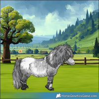 Horse Color:White Spotted Bay Chinchilla Snowcap 