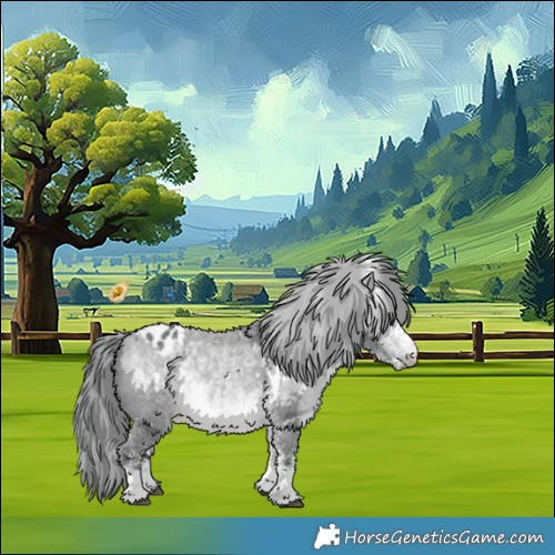 Horse Color:White Spotted Bay Chinchilla Appaloosa