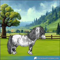 Horse Color:White Spotted Bay Chinchilla Appaloosa