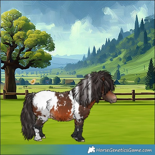 Horse Color:White Spotted Brown Appaloosa 