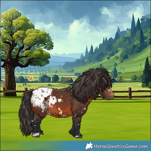 Horse Color:White Spotted Brown Appaloosa 