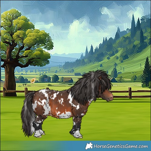 Horse Color:White Spotted Brown Appaloosa