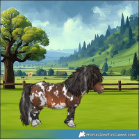 Horse Color:White Spotted Brown Varnish 