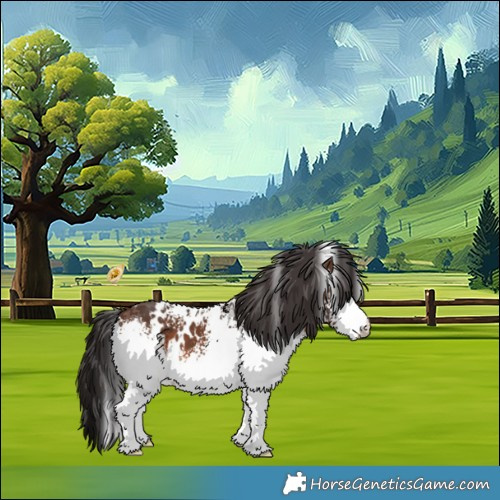 Horse Color:White Spotted Brown 