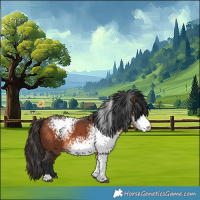 Horse Color:White Spotted Bay 