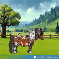 Horse Color:White Spotted Brown Varnish