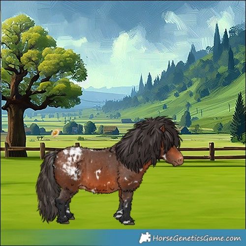 Horse Color:White Spotted Bay Appaloosa