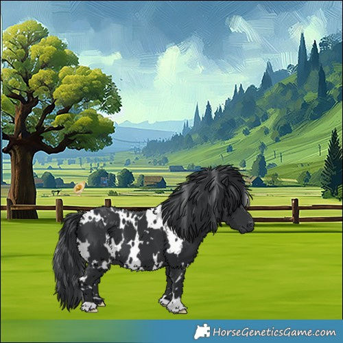 Horse Color:White Spotted Black