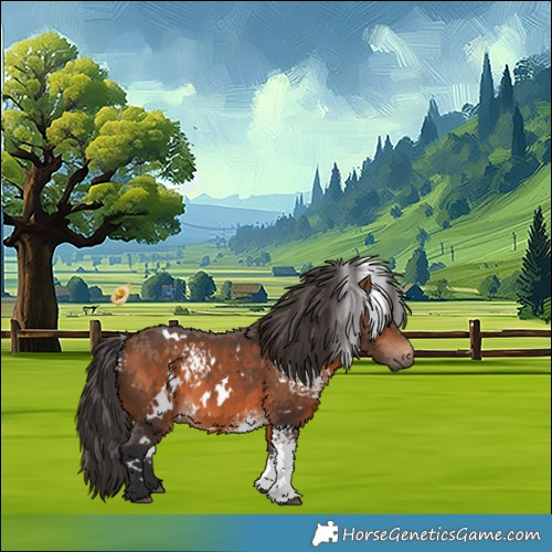 Horse Color:White Spotted Bay 