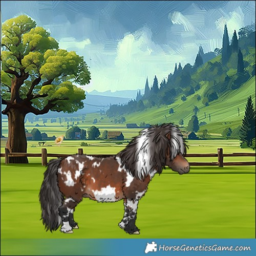 Horse Color:White Spotted Brown 