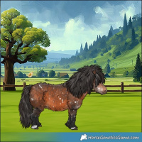 Horse Color:White Spotted Bay 