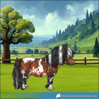 Horse Color:White Spotted Bay 