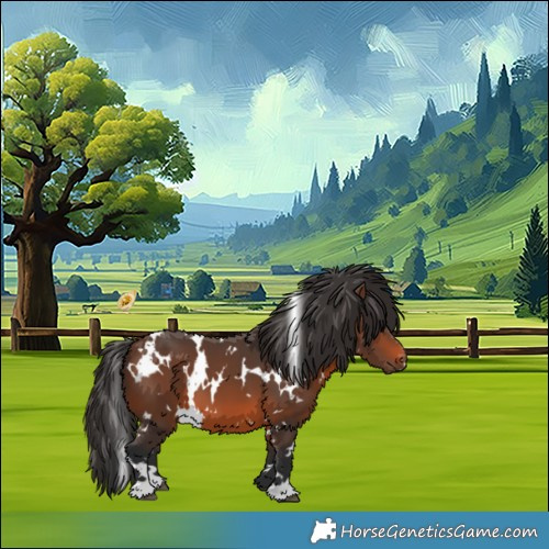 Horse Color:White Spotted Brown