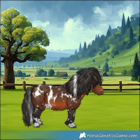 Horse Color:White Spotted Brown 
