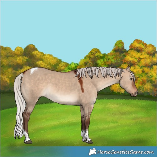 Horse Color:Silver Brown Dun Sabino Tobiano 