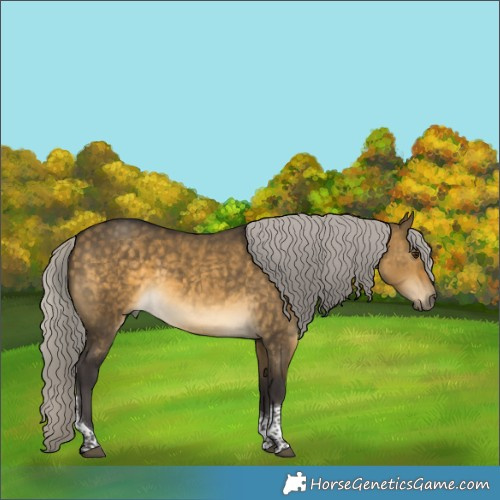 Horse Color:Silver Buckskin Dun Tobiano 