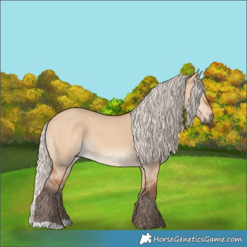 Horse Color:Silver Bay Dun 