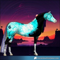 Horse Color:Painted White Spotted Buckskin Dun 