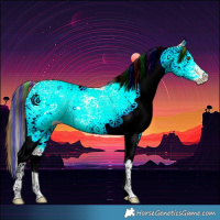 Horse Color:Painted White Spotted Buckskin Dun