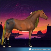 Horse Color:ERROR: UNKNOWN ANOMALY
