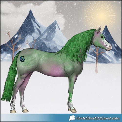 Horse Color:ERROR: UNKNOWN ANOMALY