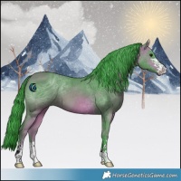 Horse Color:ERROR: UNKNOWN ANOMALY