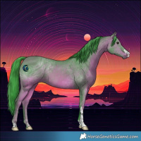 Horse Color:ERROR: UNKNOWN ANOMALY