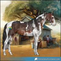 Horse Color:White Spotted Bay Tobiano Rabicano 