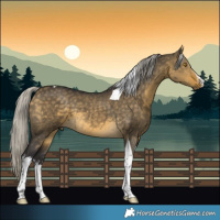 Horse Color:White Spotted Silver Buckskin Dun Tobiano 