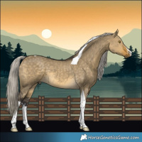 Horse Color:White Spotted Silver Buckskin Dun Tobiano