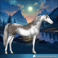 Horse Color:White Spotted Silver Black Rabicano 