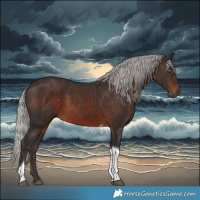 Horse Color:Silver Brown Tobiano
