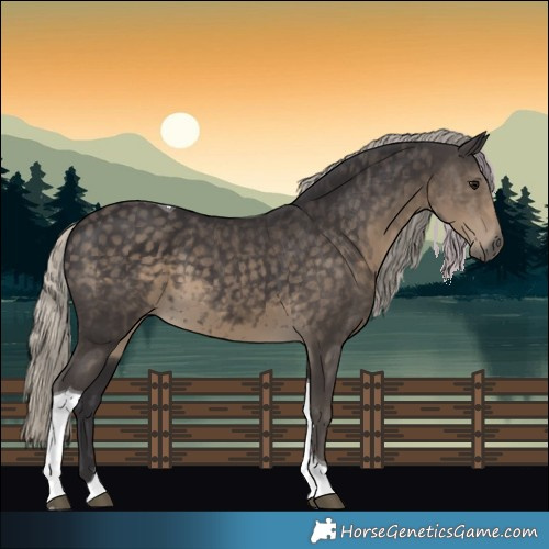 Horse Color:Silver Smoky Black Tobiano 