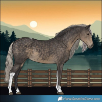 Horse Color:Silver Smoky Black Tobiano 