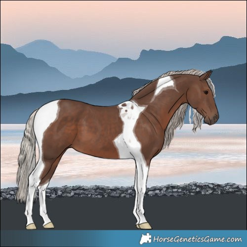 Horse Color:Silver Black Tobiano 