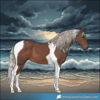Horse Color:Silver Black Tobiano