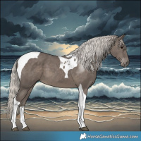 Horse Color:Silver Black Tobiano 