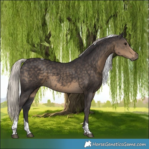 Horse Color:Silver Smoky Black Tobiano 
