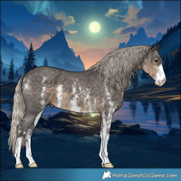 Horse Color:Silver Smoky Black Sabino 
