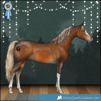 Horse Color:White Spotted Chocolate Palomino Tobiano 