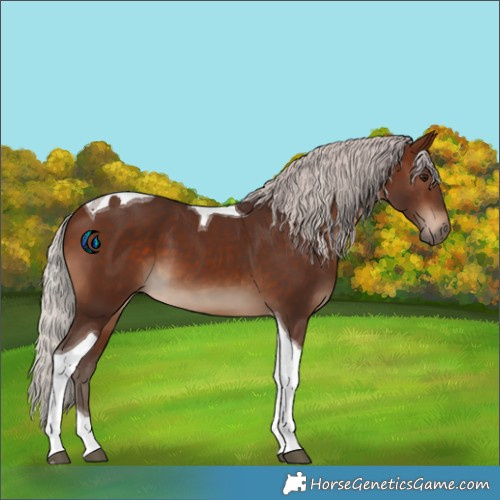 Horse Color:Silver Brown Tobiano 