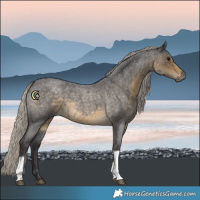 Horse Color:Silver Smoky Blue Roan Tobiano 