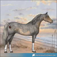 Horse Color:Silver Smoky Blue Roan Tobiano 