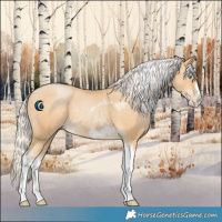Horse Color:Silver Smoky Black Pearl Tobiano Frame 