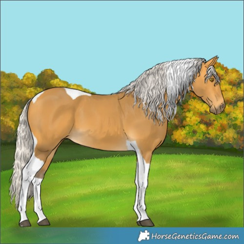 Horse Color:Silver Buckskin Tobiano 