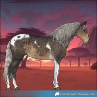 Horse Color:Silver Smoky Black Tobiano