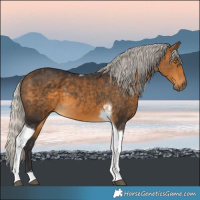 Horse Color:Silver Buckskin Tobiano 