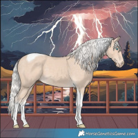 Horse Color:Silver Smoky Creme Tobiano 
