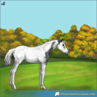 Horse Color:Blue Roan Splash Tobiano Frame Blanket 